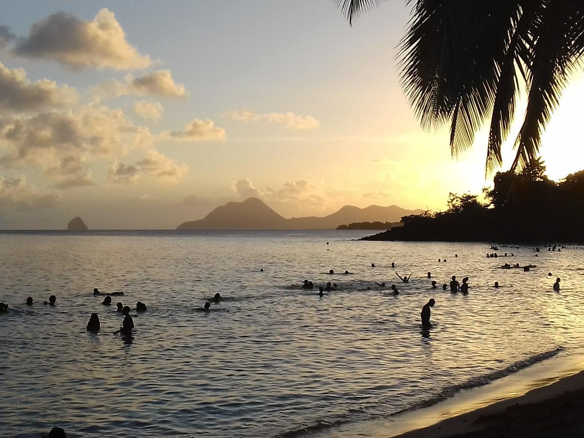 Appartement Hibiscus Martinique Le Lamentin Bagian luar foto